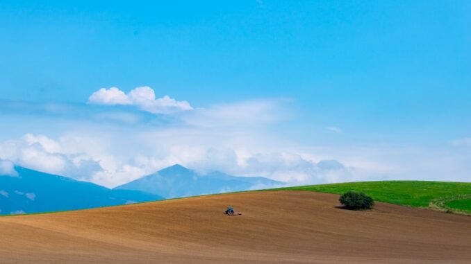 uploaded-image-sarigolde-is-sagligi-ve-guvenligi-programlari-1697803718615