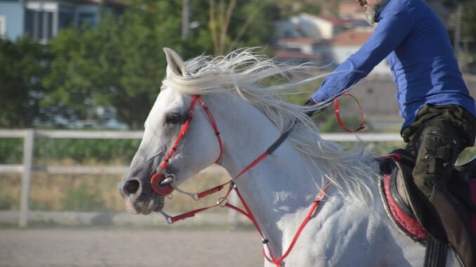 uploaded-image-sarigolde-spor-ve-genclik-aktiviteleri-1697803677244