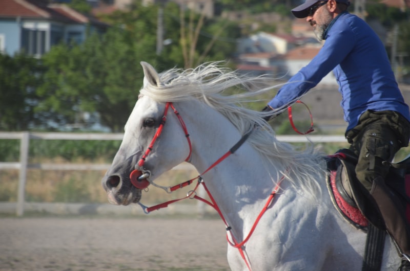 Sarıgöl'de Spor ve Gençlik Aktiviteleri Sarıgöl'de Spor ve Gençlik Aktiviteleri