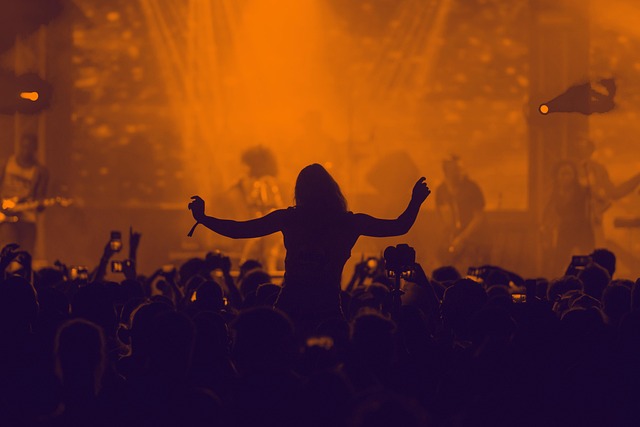 Festival Komitesi Basın Toplantısı Yaptı Festival Komitesi Basın Toplantısı Yaptı